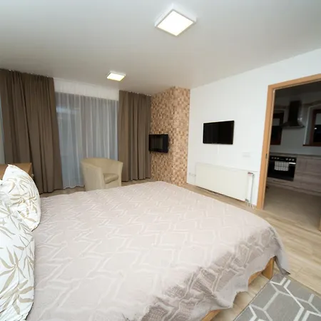 公寓 Petro Delux 考纳斯