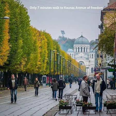 Petro Delux 公寓 考纳斯