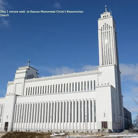 Petro Delux 考纳斯