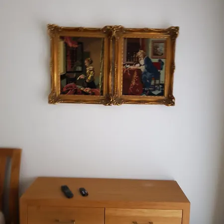 Apartmán Petro Delux Kaunas