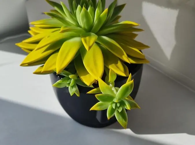 דירה Petro Delux קובנה