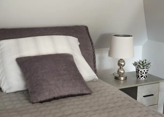 Petro Delux דירה קובנה