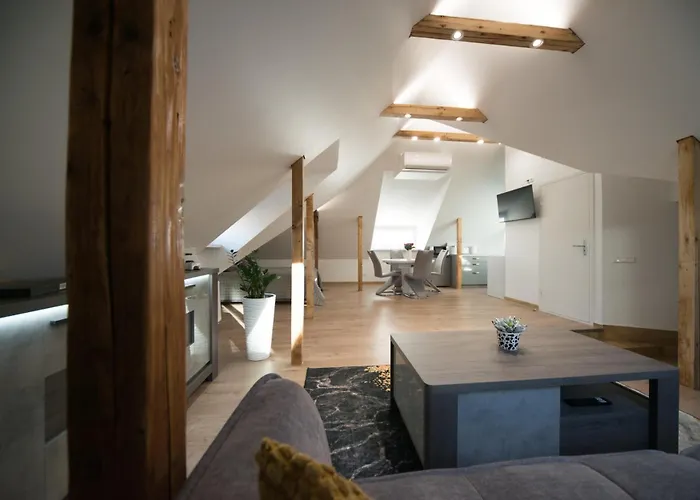 דירה Petro Delux קובנה