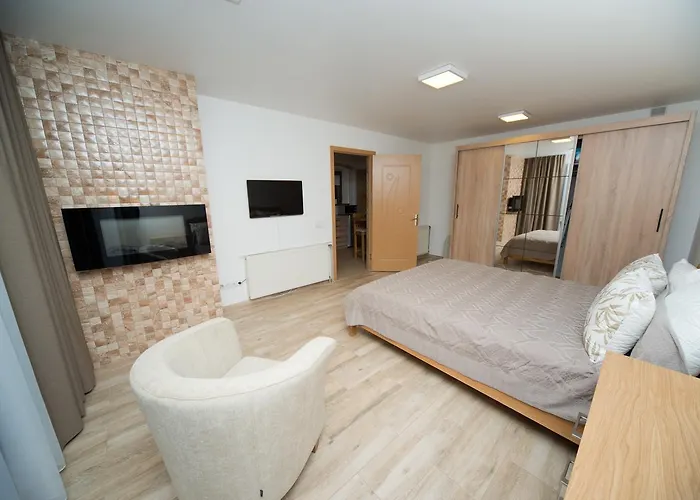 דירה Petro Delux קובנה